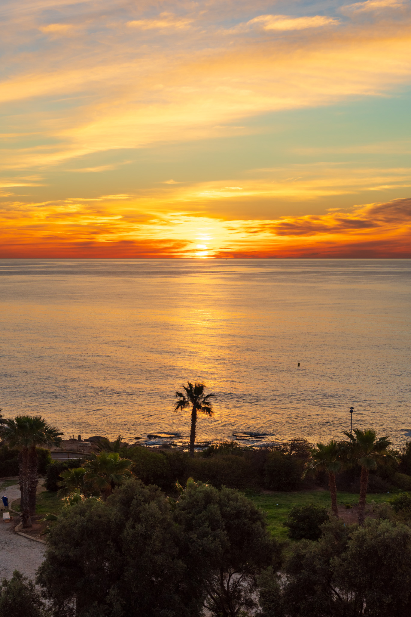 Atardecer marino con palmeras